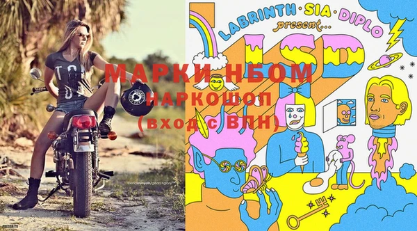 трава Наволоки