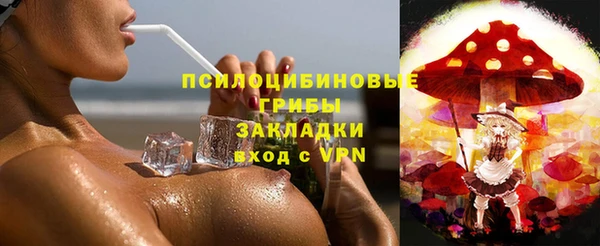 трава Наволоки