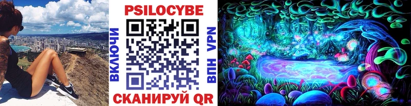 сколько стоит  Чистополь  Галлюциногенные грибы мицелий 