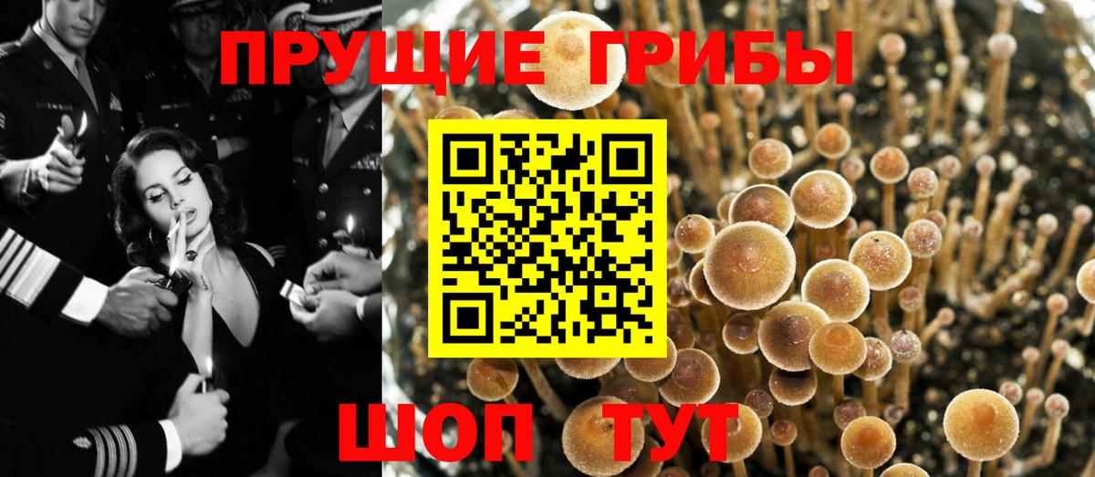 Чистополь  Галлюциногенные грибы мухоморы  Вход с VPN  Псилоцибиновые грибы Psilocybine cubensis 