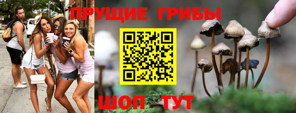 Галлюциногенные грибы мицелий Чистополь